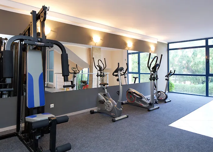 Condor Slăntjev Brjag