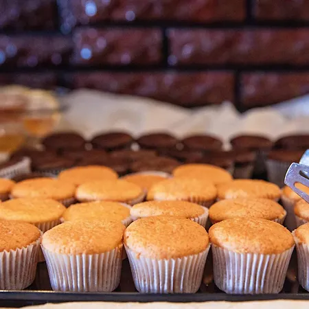 호텔 Mpm Condor 써니비치